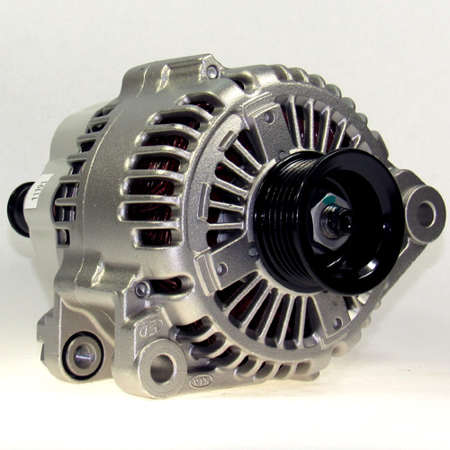 Lester 11191 