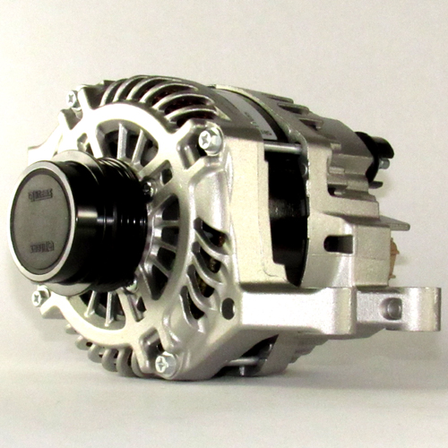 Lester 11655 